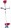 BLUE BIRD M 54 k�ovino�ez