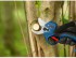 Bosch GGP18V-32 Pruner aku n��ky na v�tve 18 V bez aku, 06008D8200