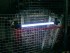 Akumulátorová pracovní svítilna 120 LED Eufab