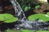 56641 BioSmart 36000 jez�rkov� pr�tokov� filtr Oase 