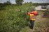 Milwaukee M18 POPH-SHTA nky na iv plot QUIK-LOK, krtk nstavec, bez aku a pohonn jednotky, 4932492666