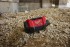 Milwaukee M12 ALIP-0 aku pracovn LED svtilna, 1200 lm, bez aku a nabjeky, 4933500321