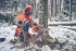 Husqvarna 550 XPG Mark II benzinova etzov pila