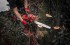 Milwaukee M18 FTHCHS30-802 aku etzov pila 30 cm, 2x 8,0 Ah + nabjeka M12-18 FC, 4933499221
