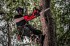 Milwaukee M18 FCHS-122 aku etzov pila s litou 40 cm, 2x 12 Ah, 4933499217