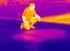 FLIR E5 PRO termokamera