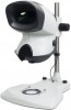 Vision Mantis Compact TS stereomikroskop