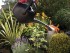 57104 konev zahradn 10 l Fiskars
