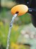 57104 konev zahradn 10 l Fiskars