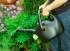 57104 konev zahradn 10 l Fiskars