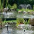 Pontec PondoVario 1000 fontna pro zahradn jezrka
