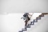 Festool SYMMETRIC SYMC 70 EB-Basic 2x18V aku bezuhlkov pokosov pila 577424