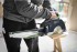 Festool HK 55 EBQ-Plus-FS kotouov pila 576126