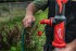 Milwaukee M18 BLSWP-0 Hydropass aku tyov vodn erpadlo peerpvac vodn pumpa, bez aku, 4933498559