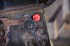 Vigor V4891/6 roz�i�uj�c� sada induk�n�ch c�vek 6 d�l�