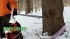 Portable Winch APW 6000 akumul�torov� lanov� navij�k 3 kW, ta�n� s�la a� 3000 kg, bez aku