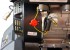 Proteco 51.06-CBV-200 benznov vysokotlak isti samonasvac 5.2 kW, 200 bar
