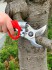 Felco 822 aku nky 36V 3,1 Ah Li-Ion na vtve, na vinohrad do ø vtv 45 mm
