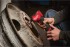 Milwaukee M12 FDGA2-0 aku vetenov hlov bruska bez aku, 4933498979