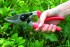 Felco 7 zahradnické nůžky 