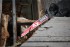 Milwaukee TCT AX NITRUS pilov� pl�tek do �avlov� pily 150 mm 5 TPI, 48477251