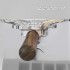 Ascaso Steel DUO PID pkov kvovar inox&wood