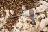 Ingersoll Rand 2175MAX-6 pneumatick rzov utahovk 1“ 2576 Nm s prodlouenm pohonem