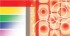 Infrasauna je integrovan�, multifunk�n� a luxusn� za��zen� pro l��bu i relaxaci, kter� spole�n� se saunou zahrnuje v sob� t� v�hody slune�n� l�zn�. Infra�erven� paprsek je jej�m hlavn�m zdrojem energie. Vlnov� d�lka infra�erven�ho paprsku je 5,6 – 15 μm a je t�lem nejl�pe absorbov�na. Infra�erven� paprsek m��e proniknout 40 mm hluboko do lidsk� k��e, t�m doch�z� k resonanci bun��n�ch tk�n� v t�le, zrychlen� krevn�ho ob�hu a odstran�n� ne�istot z t�la. Proto m� sauna velmi dobr� vliv na zdrav�. Infrasauny s carbonov�m topidlem vyza�uj� infra�erven� paprsek v �ir��m spektru ne� infrasauny s keramick�m topidlem. Infrasauny jsou vhodn� pro osoby, kter� se l��� s krevn�m tlakem, nebo t�ce sn�ej� vysokou teplotu v klasick� saun�