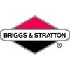 Briggs and Stratton